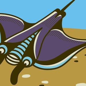 Meet your Posher, Anne